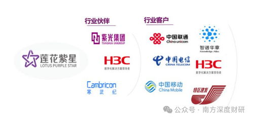 從調味品到AI新勢力 蓮花控股業績領跑同行，科技版圖再落信息技術咨詢服務關鍵一子